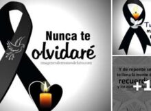 10 lazos de luto nunca te olvidaré