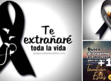 10 lazos de luto te extrañaré
