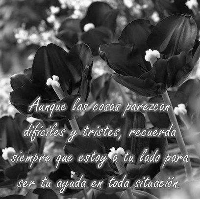 Imágenes de flores negras con frases de luto