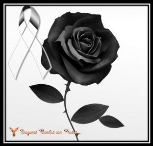 Imágenes de rosas negras con frases tristes