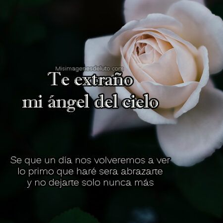 esta rosa en memoria de mi angel del cielo