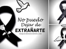 10 lazos de luto no puedo dejar de extrañarte