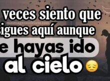 aveces siento que sigues aqui