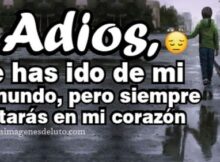siempre viviras en mi corazon
