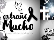 10 imagenes d eluto te extraño mucho