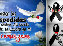 te llevare en mi corazon