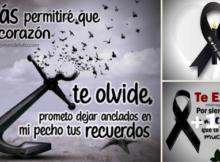 mi corazon no te olvidara