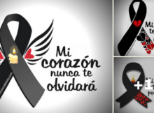 lazos d eluto con frases