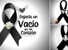 lazos d eluto bonitos