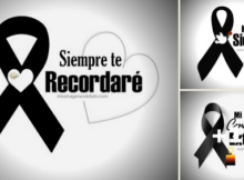 siempre te recordare