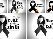 duele vivir sin ti