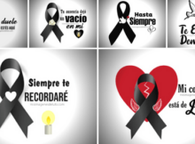 SIEMPRE TE RECORDARE