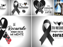 lazos de luto con frases