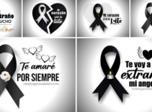lazos de luto con frases