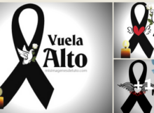 lazos de luto con pálomas