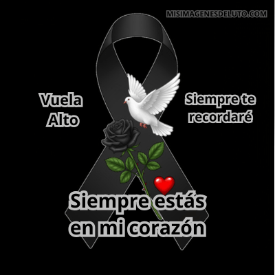 te llevo en mi corazón